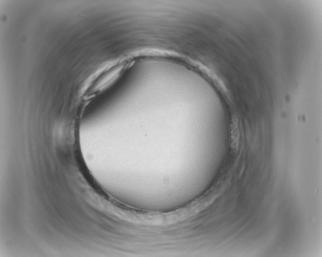 X0000087590015200705112314