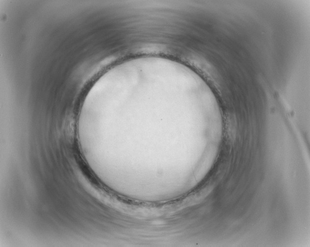 X0000087590016200705112314