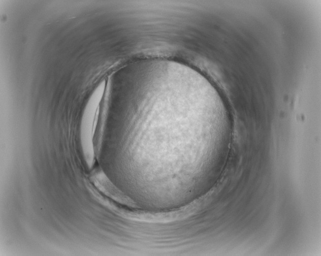 X0000087590017200705112314