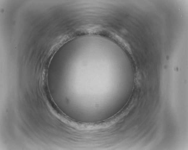 X0000087590018200705112314