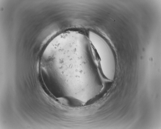 X0000087590019200705112314