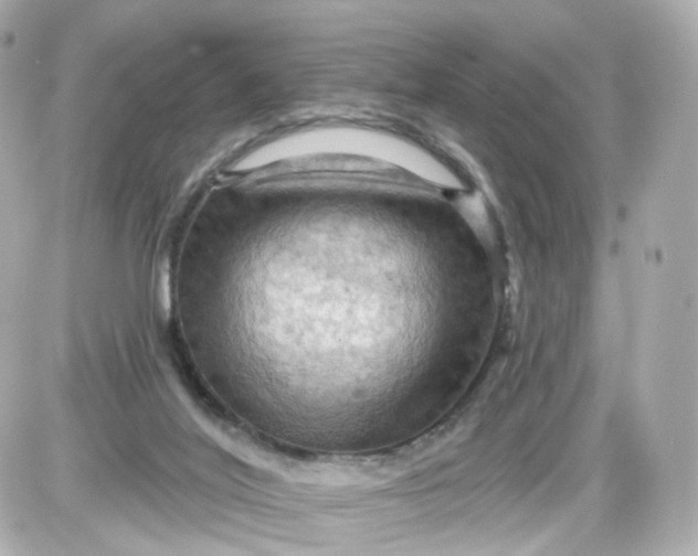 X0000087590020200705112314