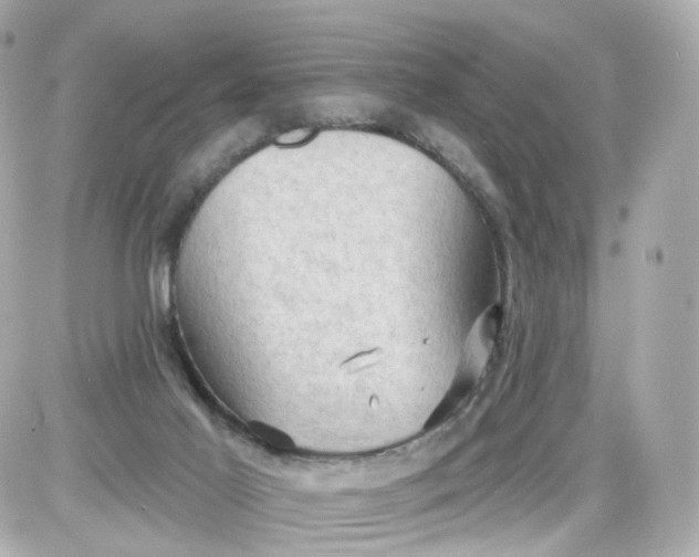 X0000087590021200705112314