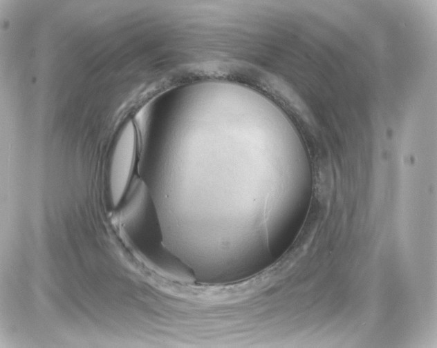 X0000087590023200705112314