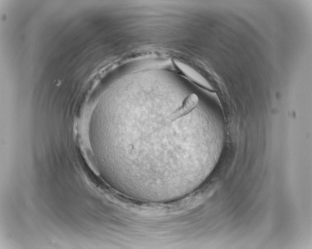 X0000087590024200705112314