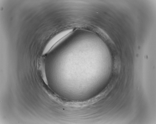 X0000087590025200705112314