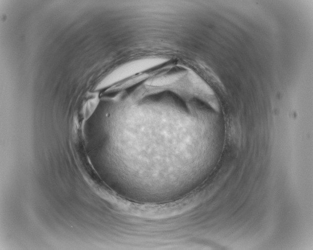 X0000087590026200705112314