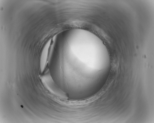 X0000087590027200705112314