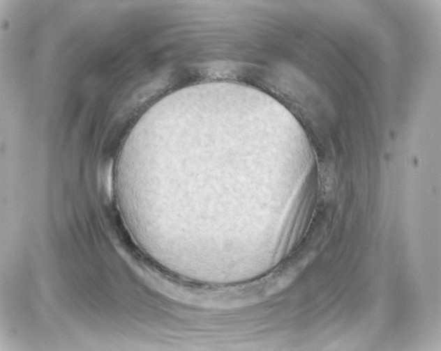 X0000087590028200705112314