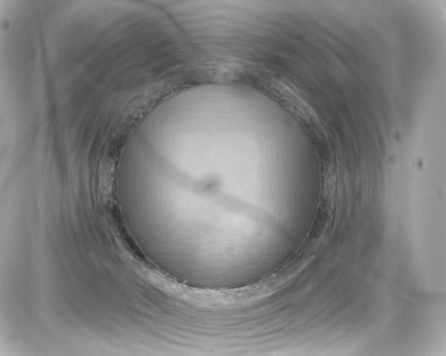 X0000087590030200705112314