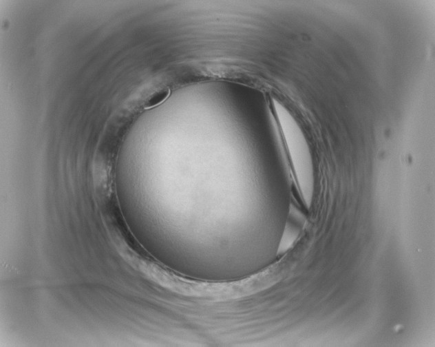 X0000087590031200705112314