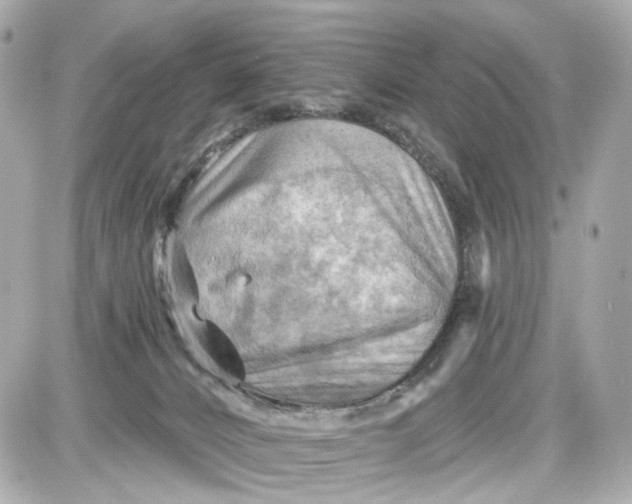 X0000087590032200705112314