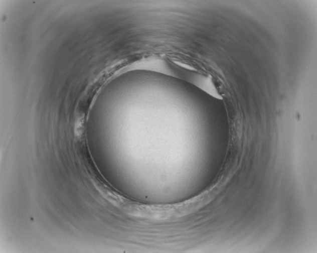 X0000087590033200705112314