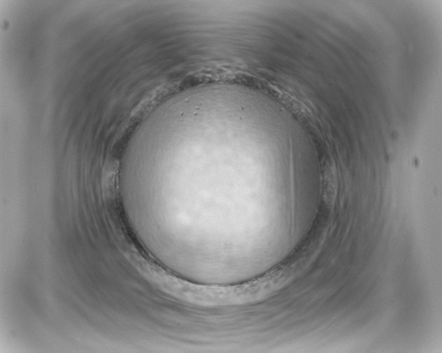 X0000087590034200705112314