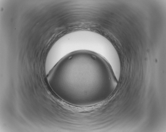 X0000087590035200705112314