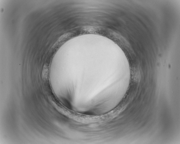 X0000087590036200705112314