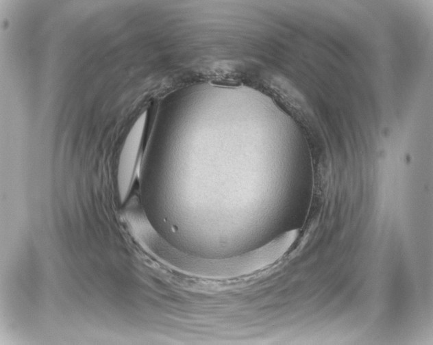 X0000087590037200705112314