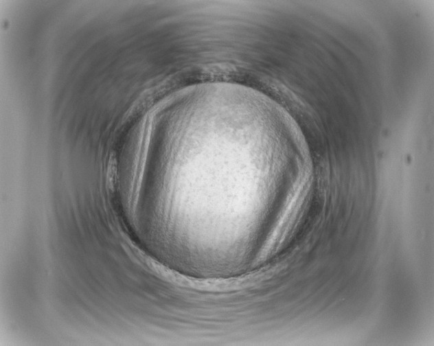 X0000087590038200705112314