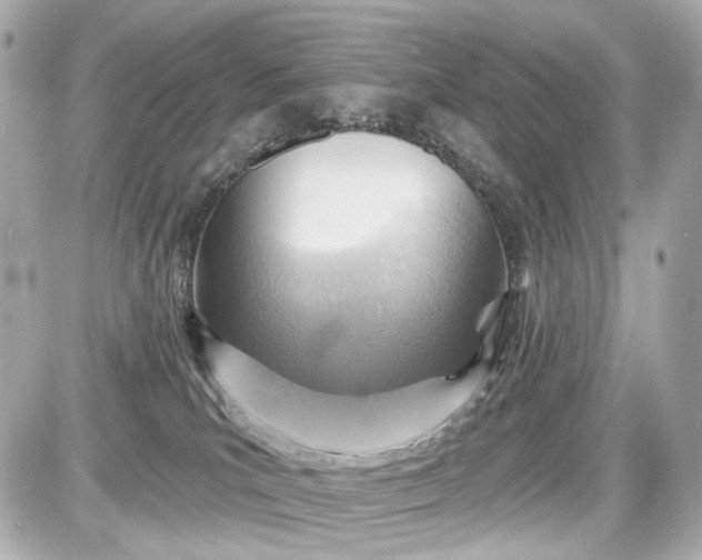 X0000087590039200705112314