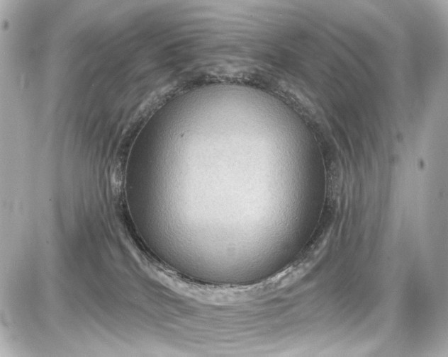 X0000087590040200705112314