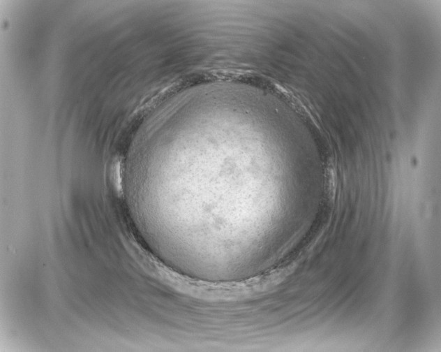 X0000087590042200705112314