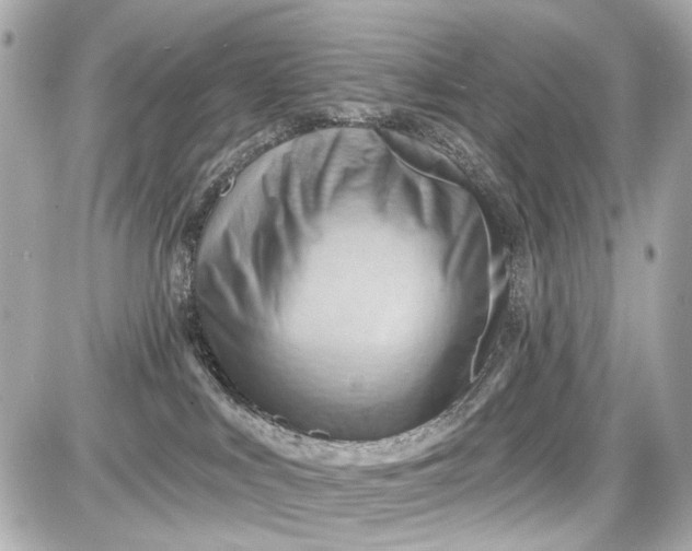 X0000087590043200705112314