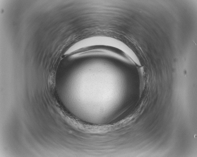 X0000087590044200705112314