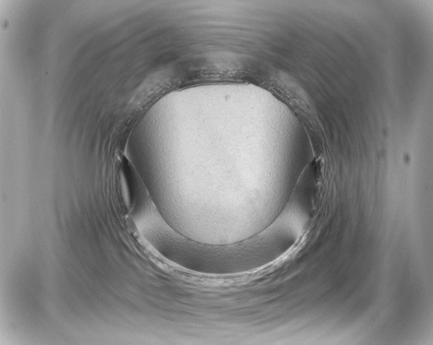 X0000087590045200705112314