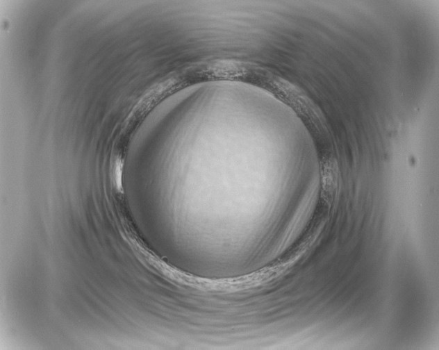 X0000087590046200705112314