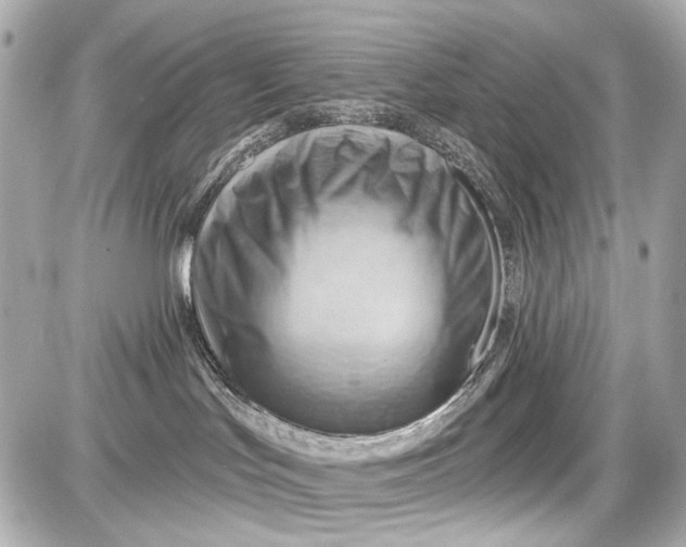 X0000087590047200705112314