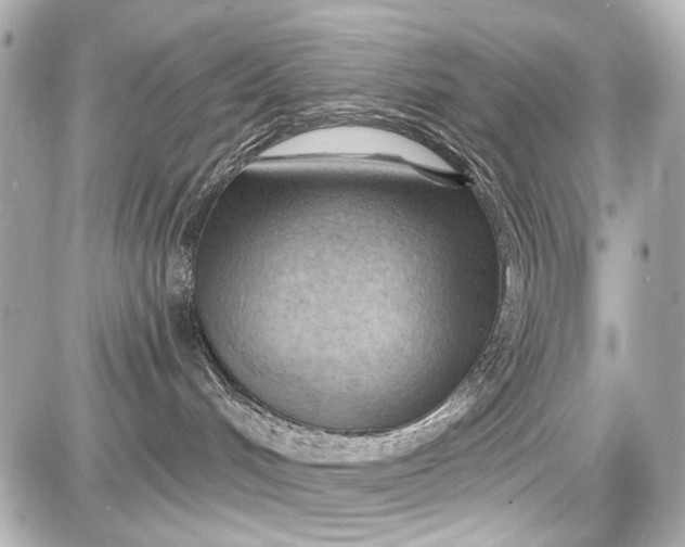 X0000087590048200705112314