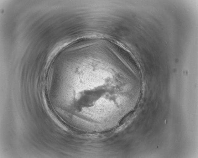 X0000087590049200705112313