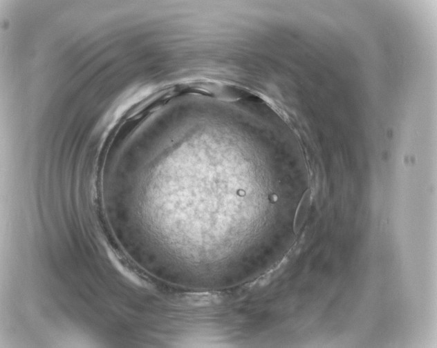 X0000087590050200705112313