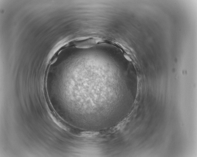 X0000087590051200705112313