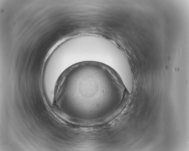 X0000087590052200705112313