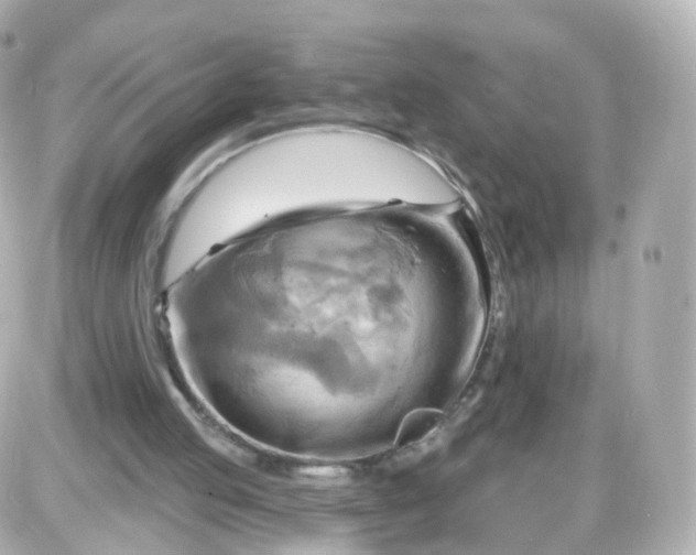 X0000087590053200705112313