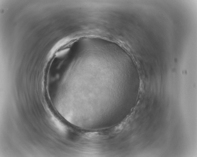 X0000087590054200705112313