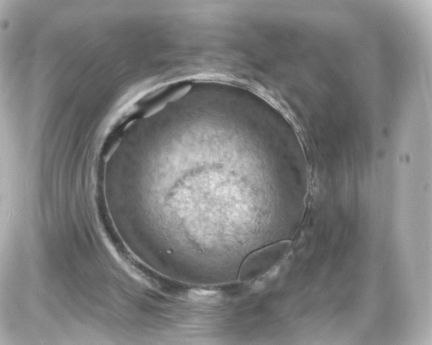 X0000087590055200705112313