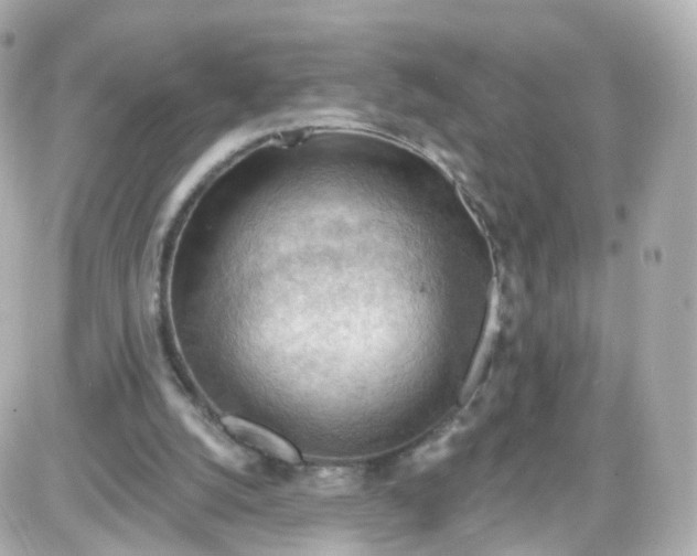 X0000087590056200705112313