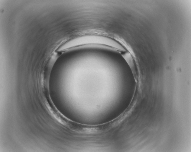 X0000087590057200705112313