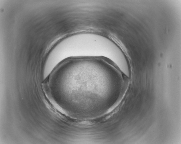 X0000087590058200705112313