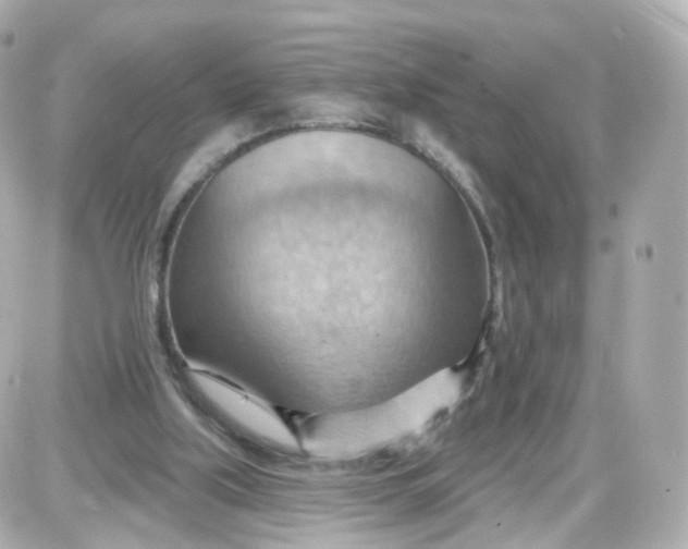 X0000087590059200705112313