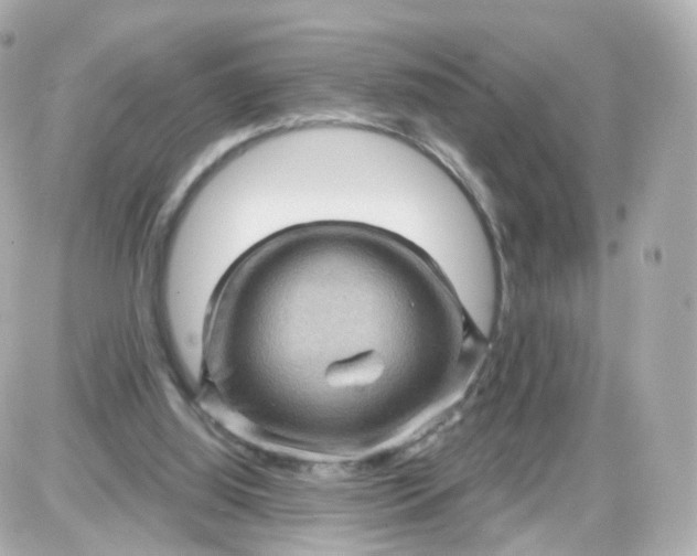 X0000087590060200705112313