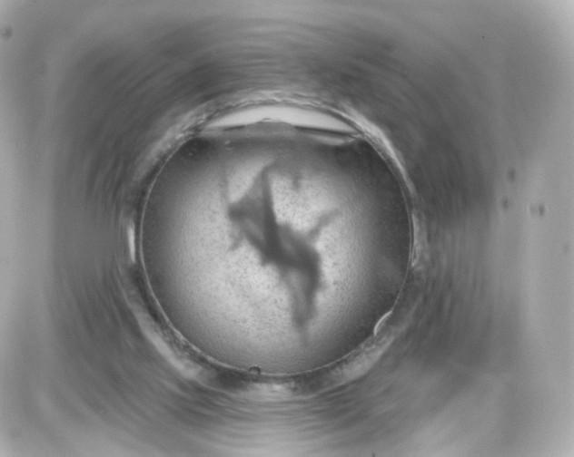 X0000087590061200705112313