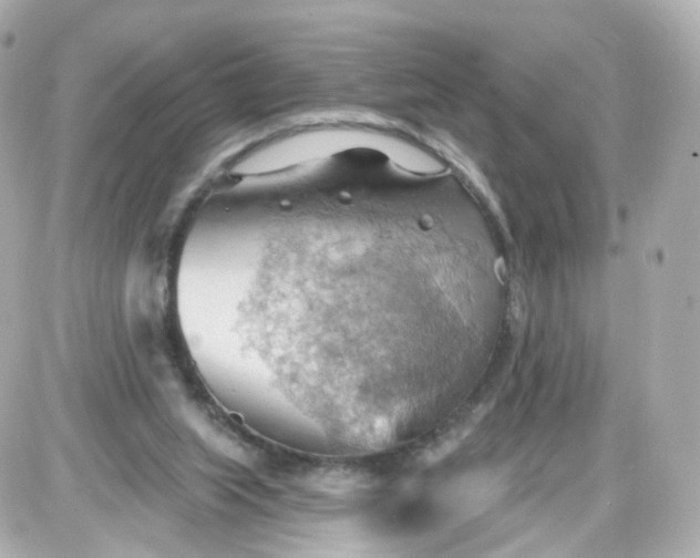 X0000087590063200705112313