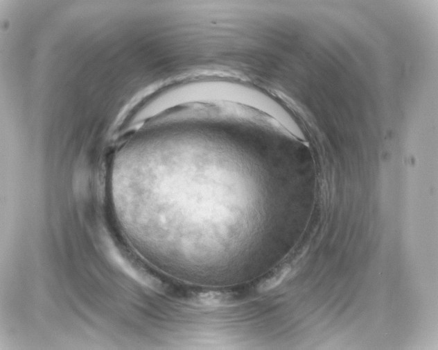 X0000087590064200705112313