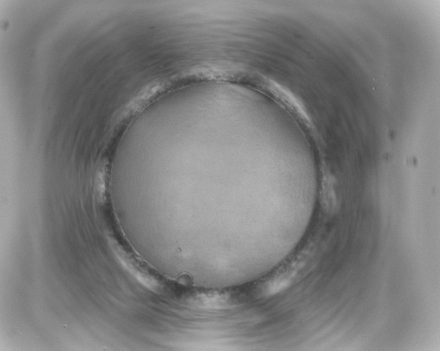 X0000087590065200705112313