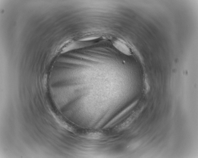 X0000087590066200705112313