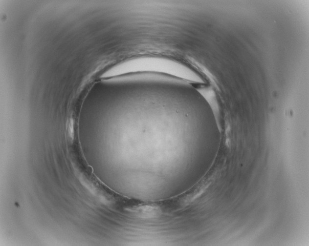 X0000087590067200705112313