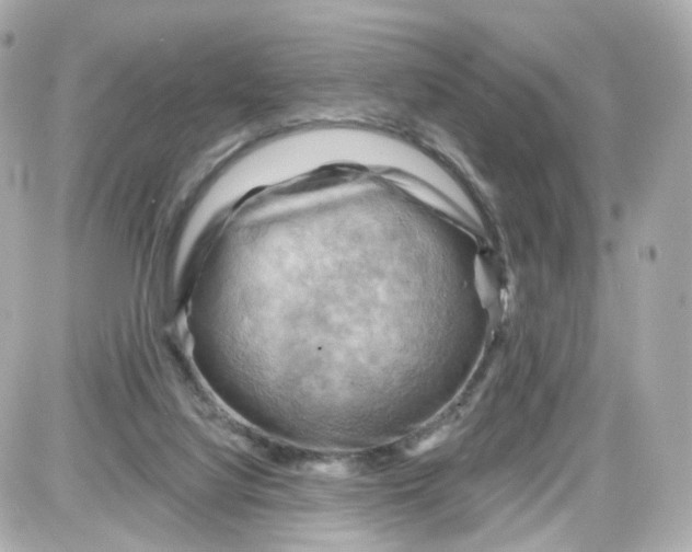 X0000087590068200705112313